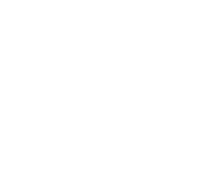 Arizona State University